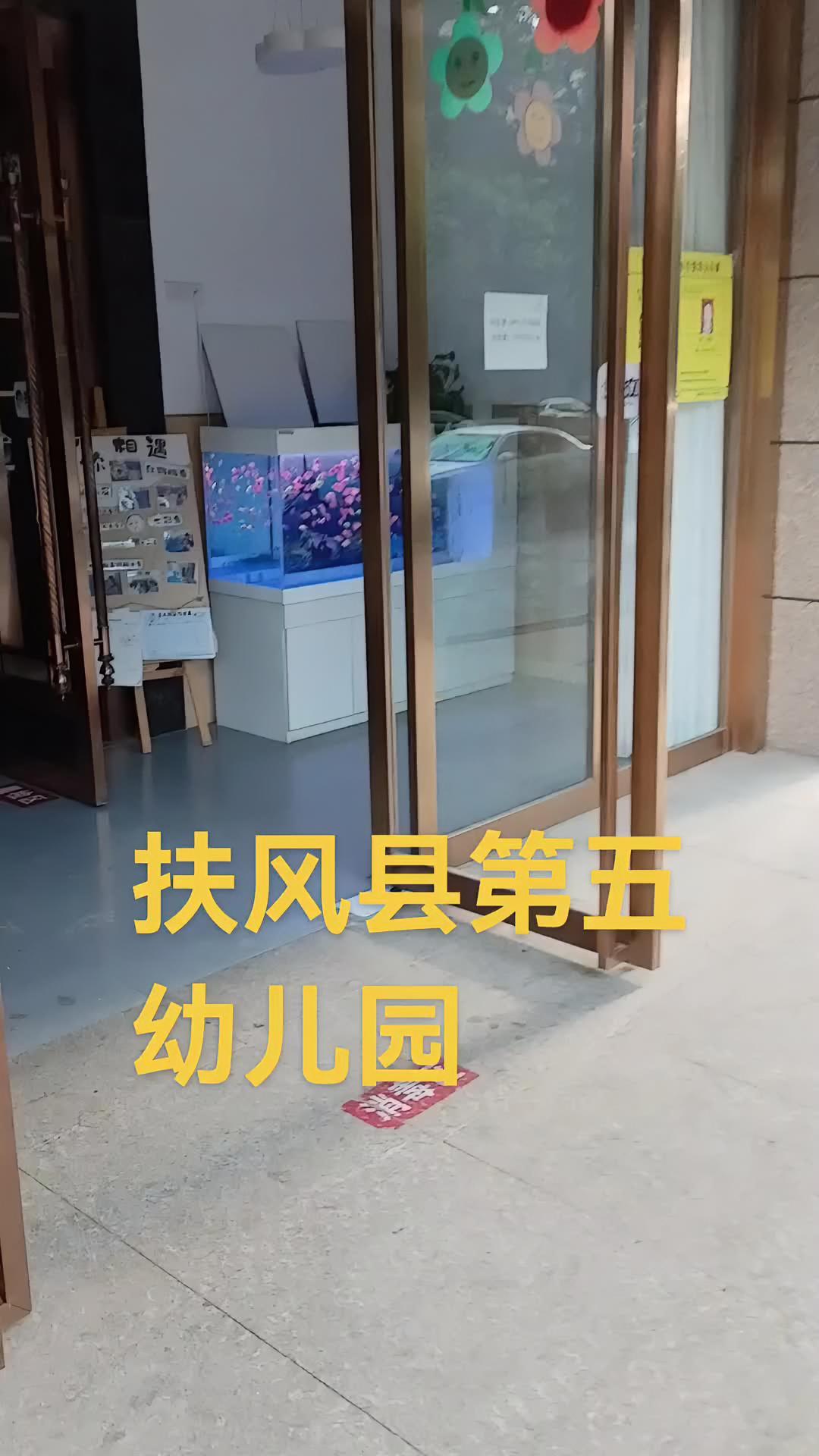 扶风县第五幼儿园孩子们的家园 记录生活 养鱼日记 幼儿园 欢乐多