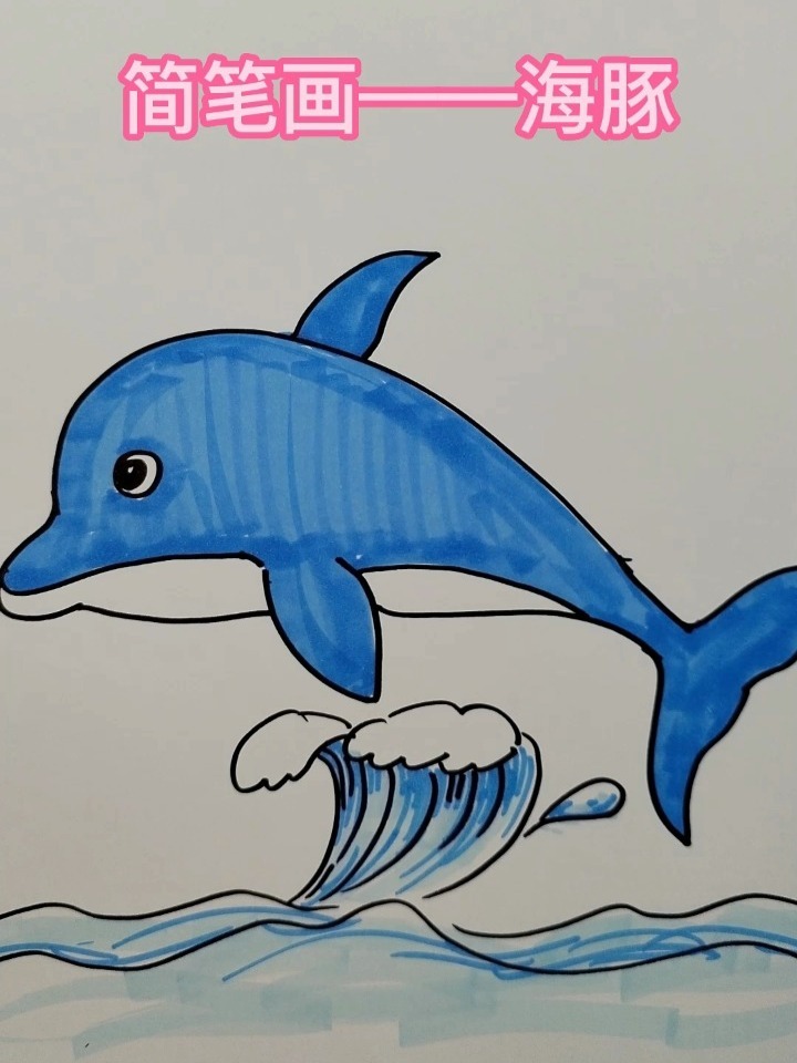 简笔画～海豚
