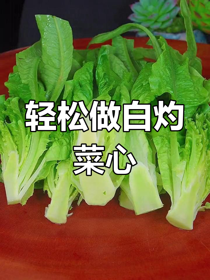 白灼凤尾菜,清爽又营养