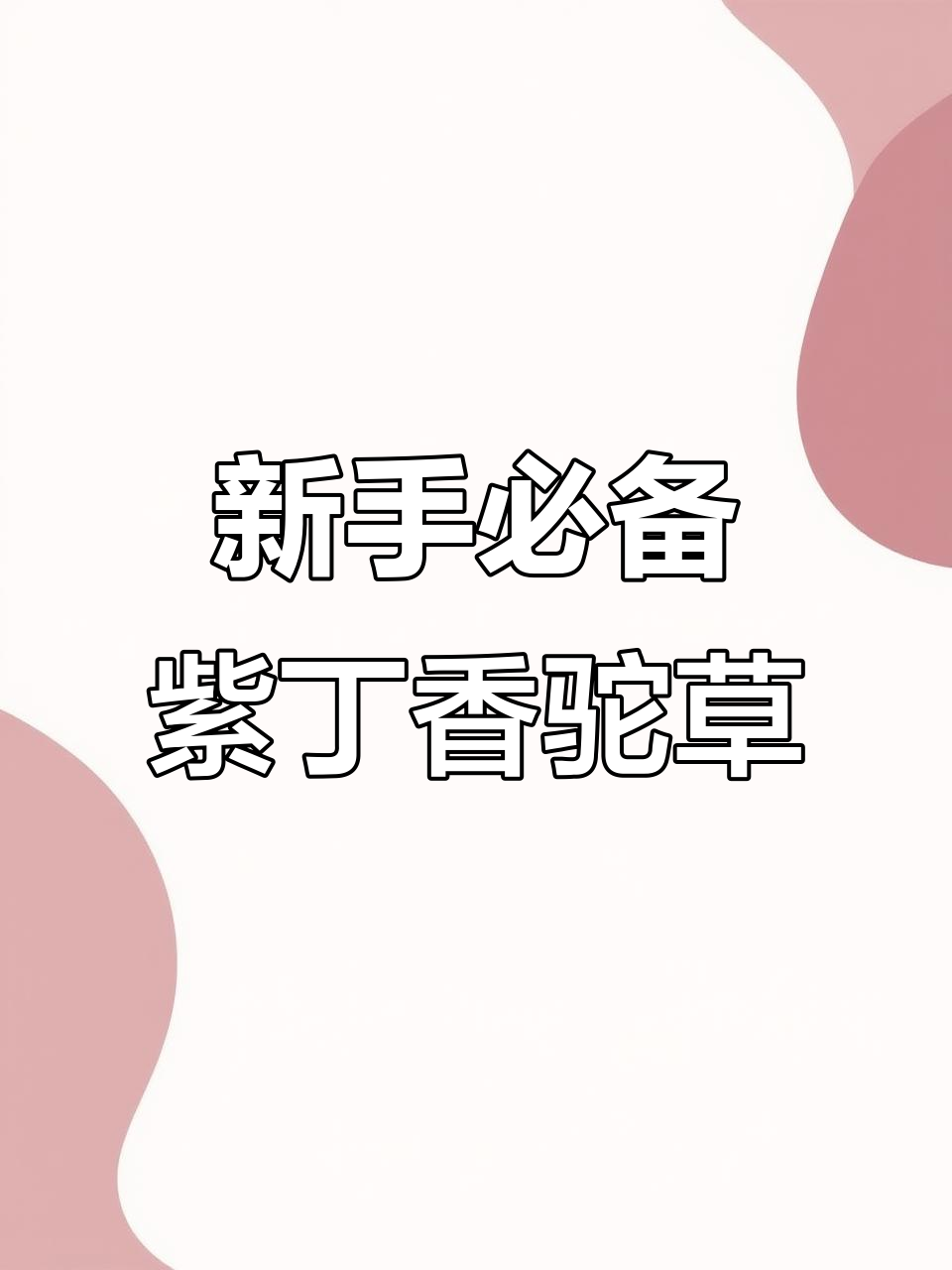 紫丁香坨草:超好养的阴性水草,新手必选鱼缸造景植物