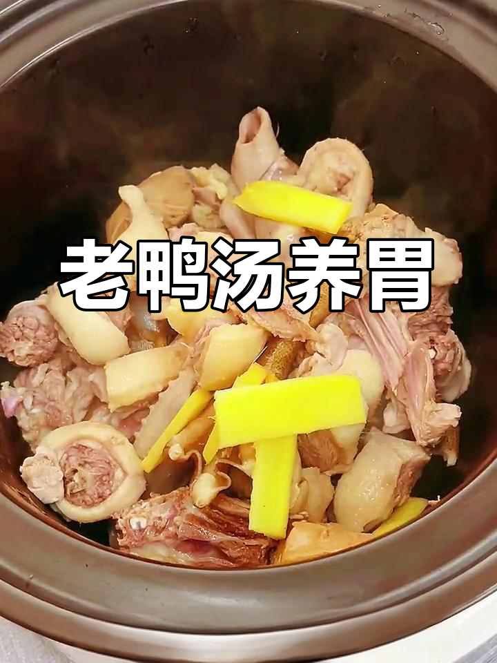 养生老鸭汤,滋补又美味