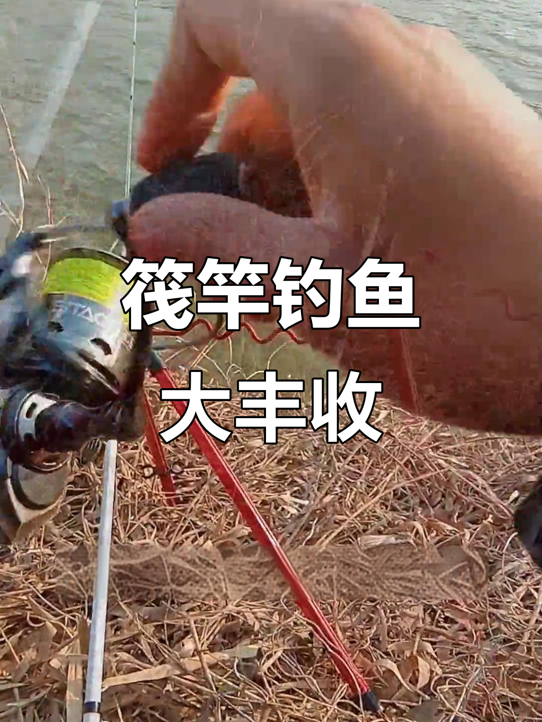 芝麻河涨水,筏竿钓鲤鱼轻松上钩