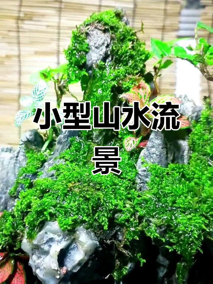 迷你高山流水景观制作,假山养鱼盆打造小水井