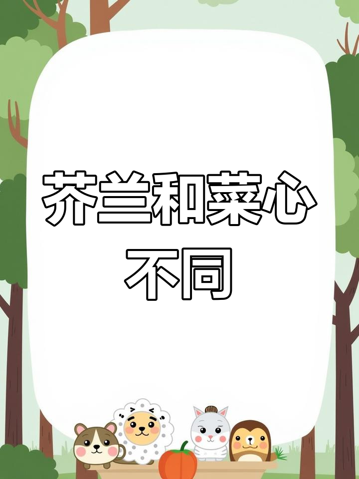 芥兰与菜心的区别,原来不是一种东西!