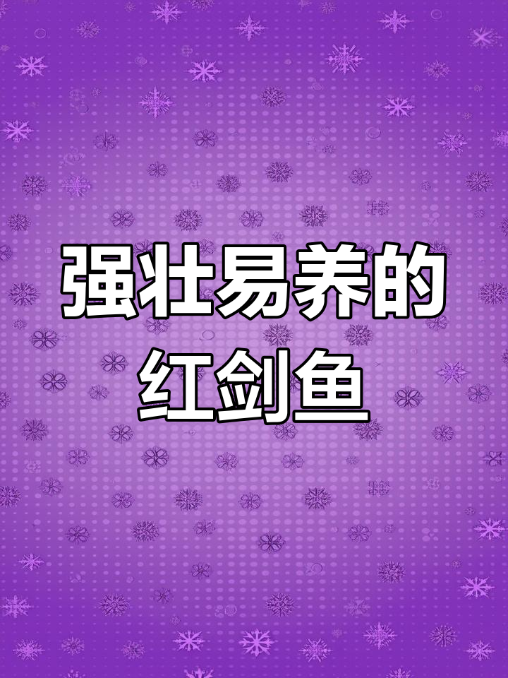 红箭鱼:水草缸中的色彩之星