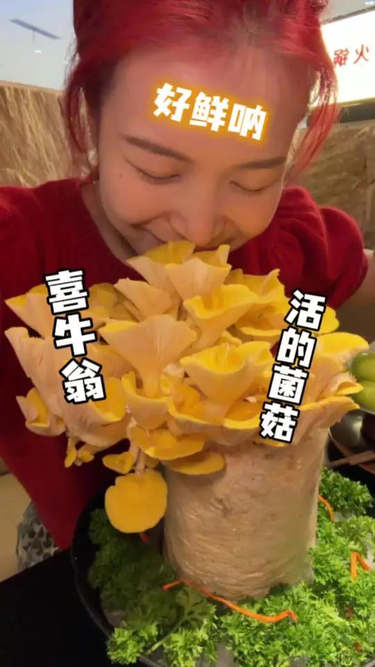 48/58抵100 喜牛翁临安财富中心漂亮火锅～牛肉不好吃,菜品超时,服务态度不好,都是送