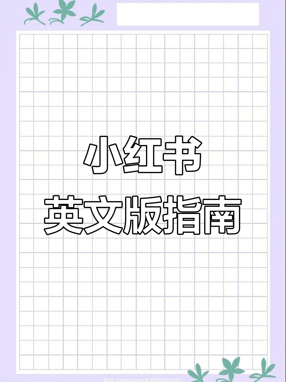 轻松掌握小红书英文版设置,快速开启国际化体验!