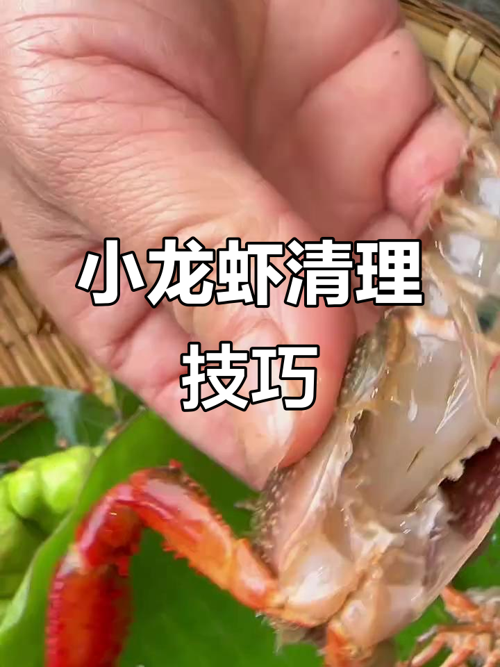 小龙虾清洗全攻略,教你如何正确处理虾腮、虾线和头部