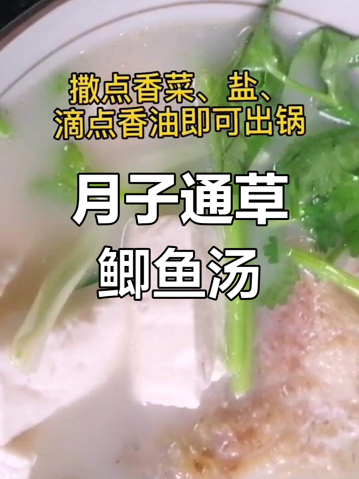 通草鲫鱼豆腐汤,月子必吃美味