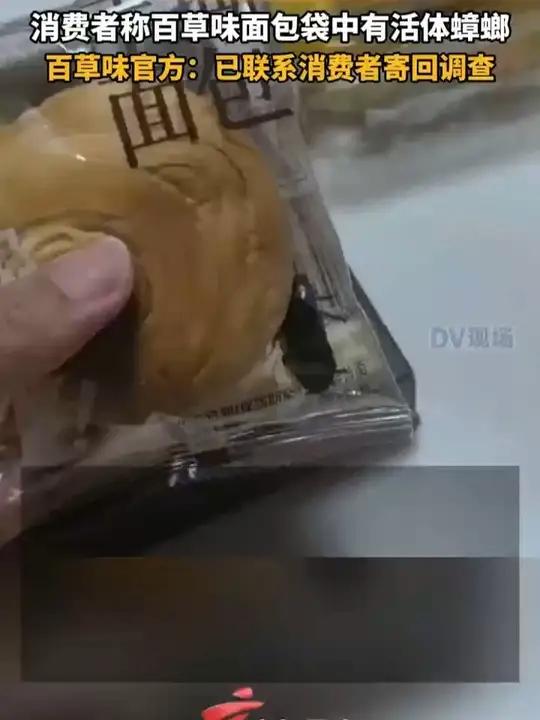 消费者称百草味面包袋中有活体蟑螂，百草味官方：已联系消费者寄回调查