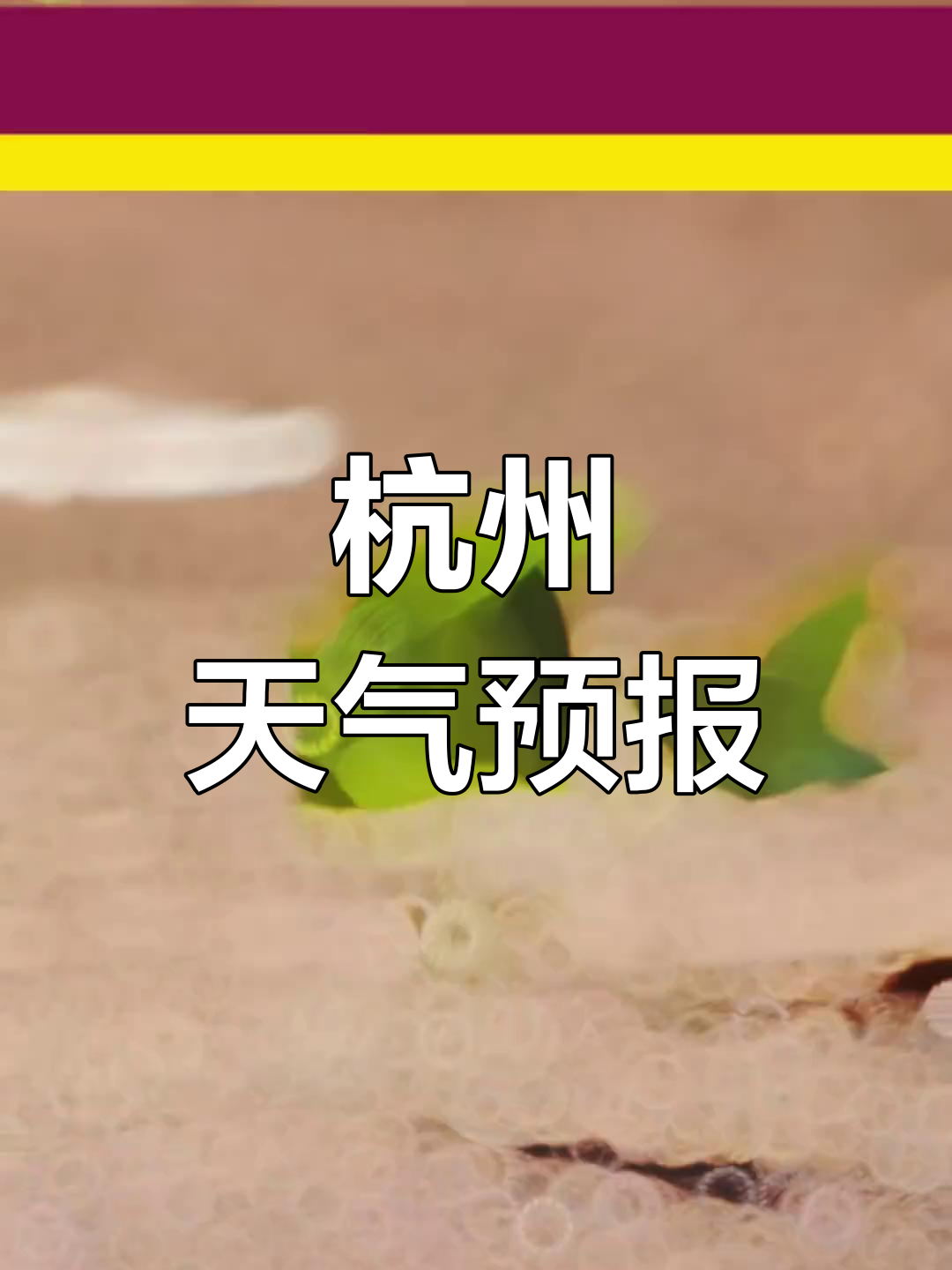 杭州未来15天天气预报