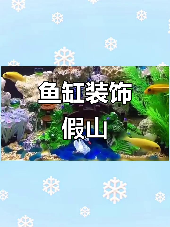 鱼缸假山造景,白天鹅与石桥相伴