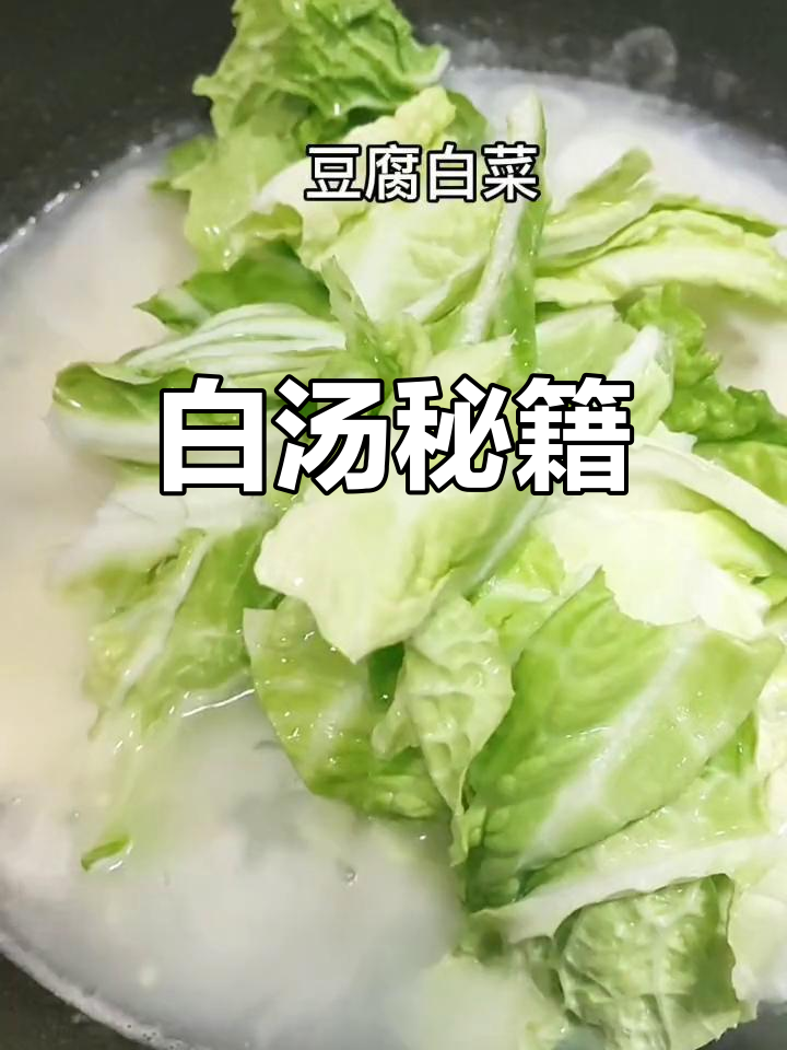 轻松做出奶白汤,白菜豆腐的秘诀大公开!