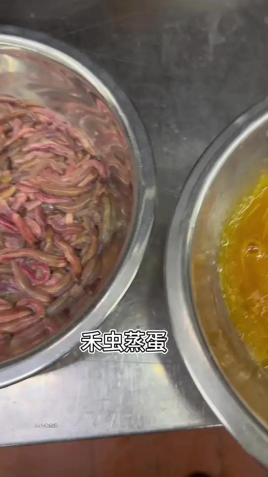 当季美食：禾虫蒸蛋