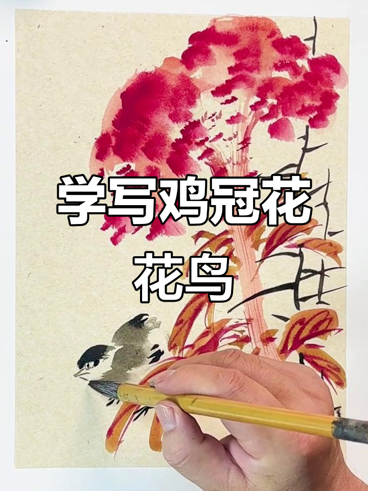 鸡冠花写意画法,轻松掌握花鸟小品技巧