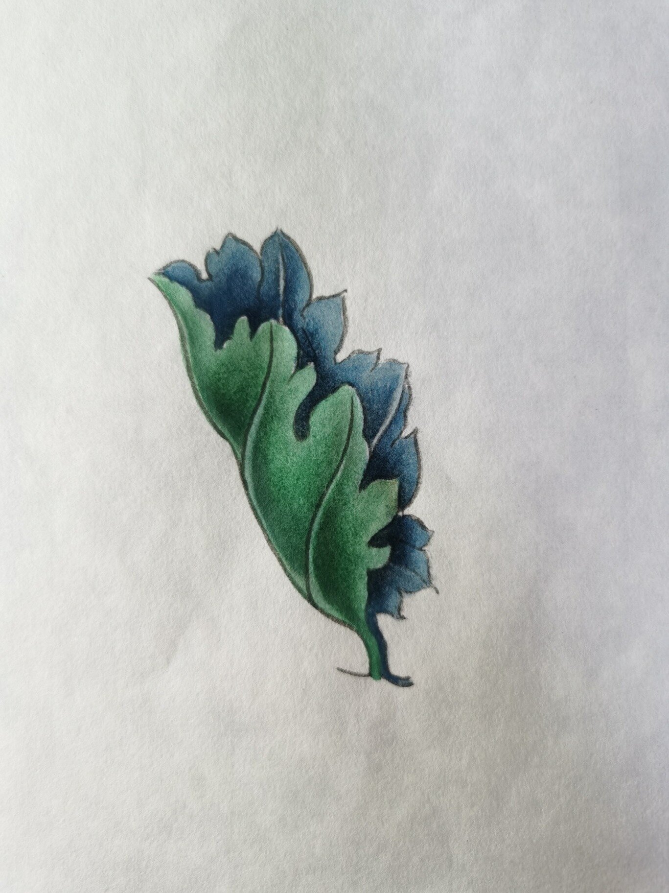 工笔画上色步骤