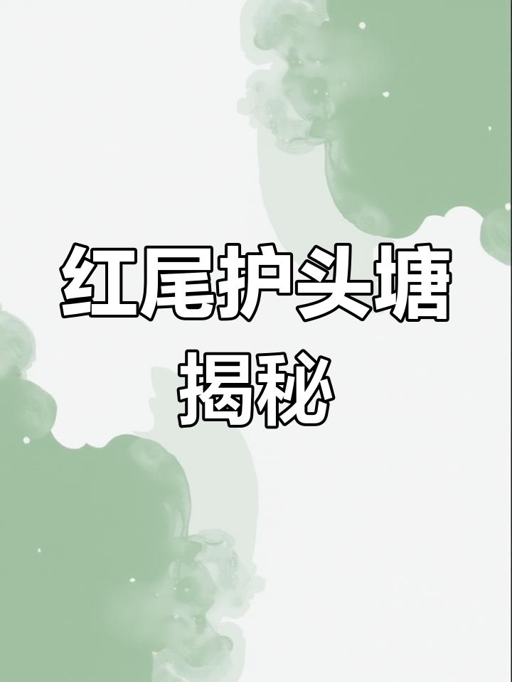 形似鲶鱼的招财猫鱼,竟然是这种热带鱼类!