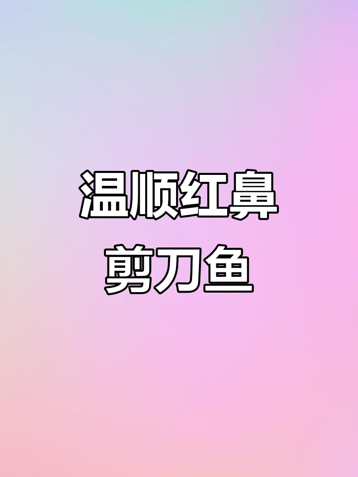 红鼻剪刀鱼：温和群居，杂食性强