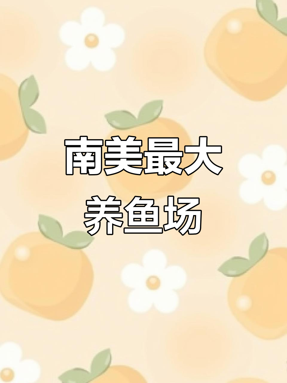 哥伦比亚最大渔场揭秘：梅达英山区热带观赏鱼养殖基地