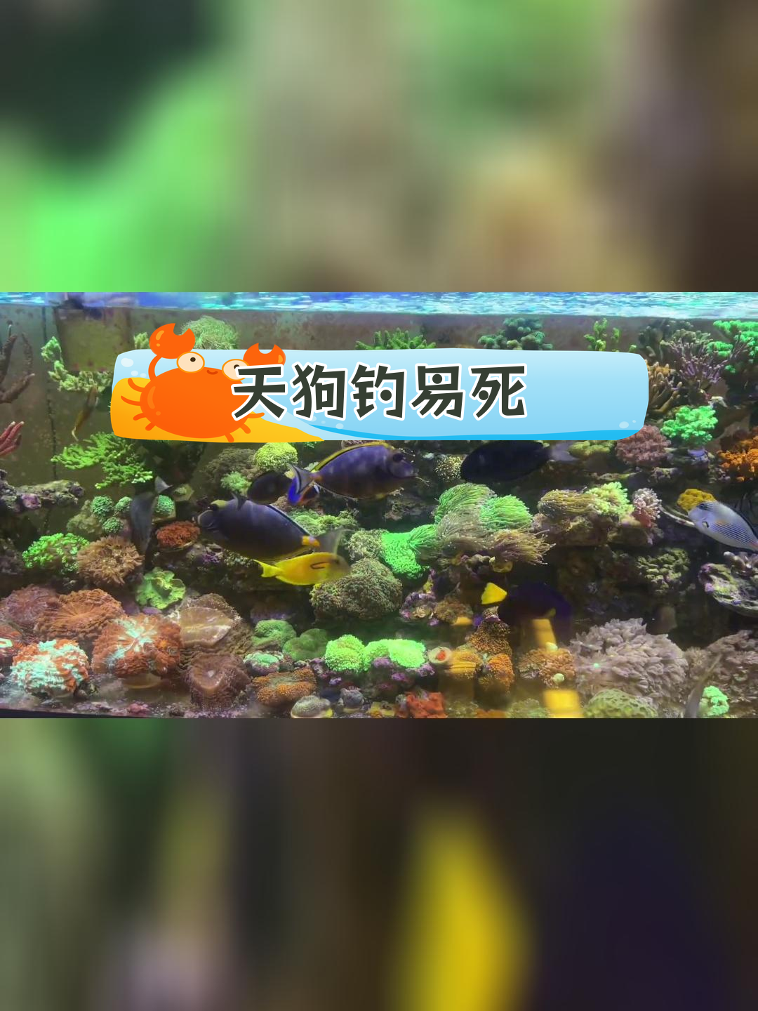 天狗吊难养,暴毙原因揭秘