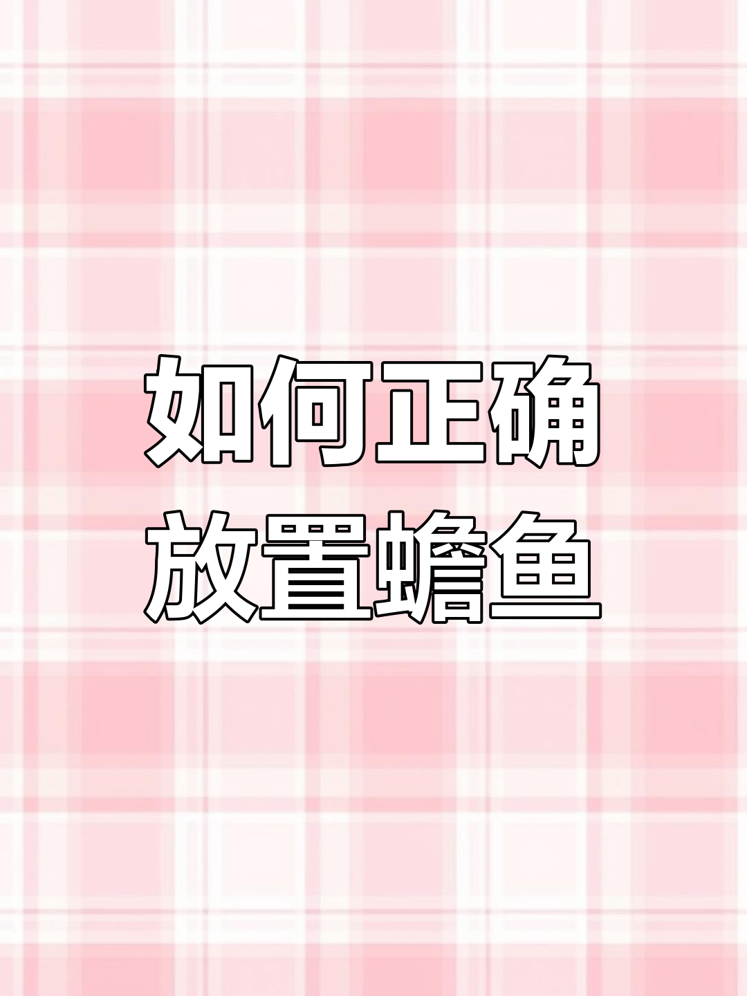 蟾鱼摆放的最佳位置,如何避免错误布局