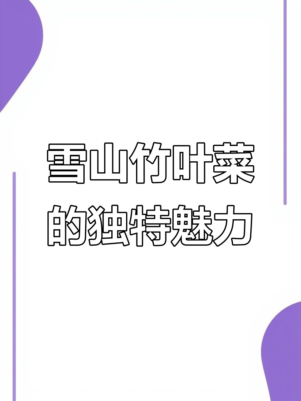 探秘云南独龙族竹叶菜：雪线上的美味珍品