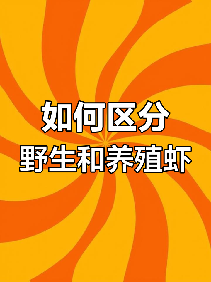 野生海虾与养殖淡水虾的区别解析