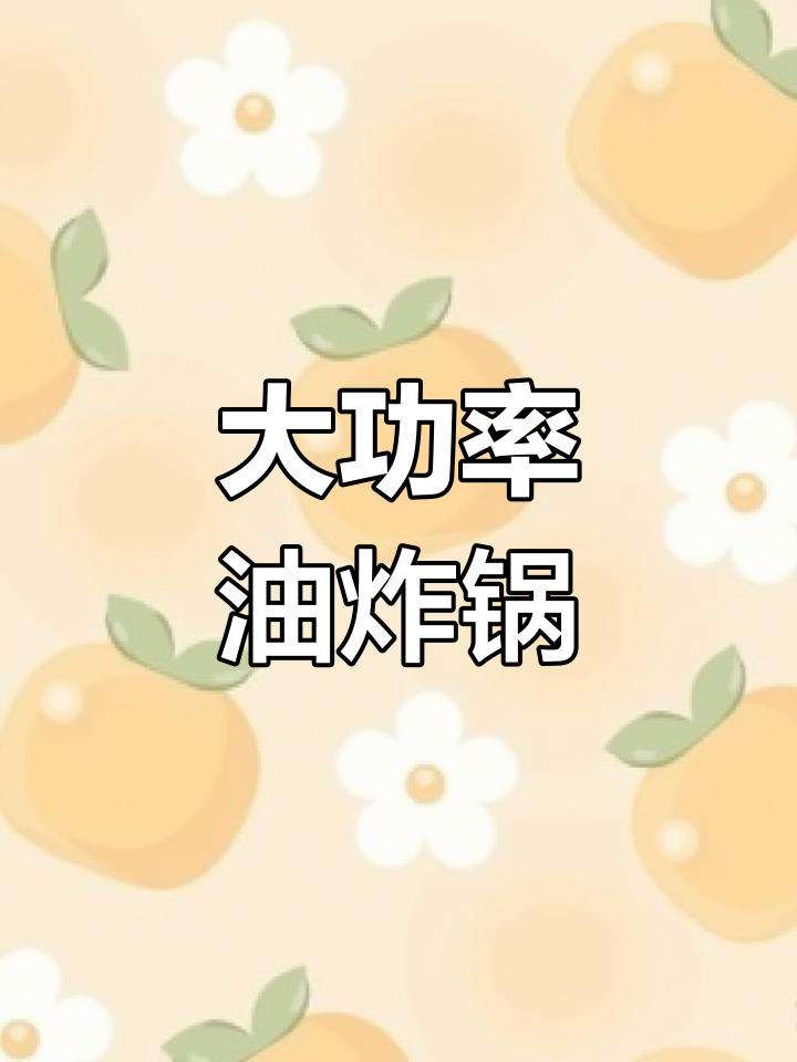 25升大容量电炸锅,轻松炸油条麻花,恒温控制更省心