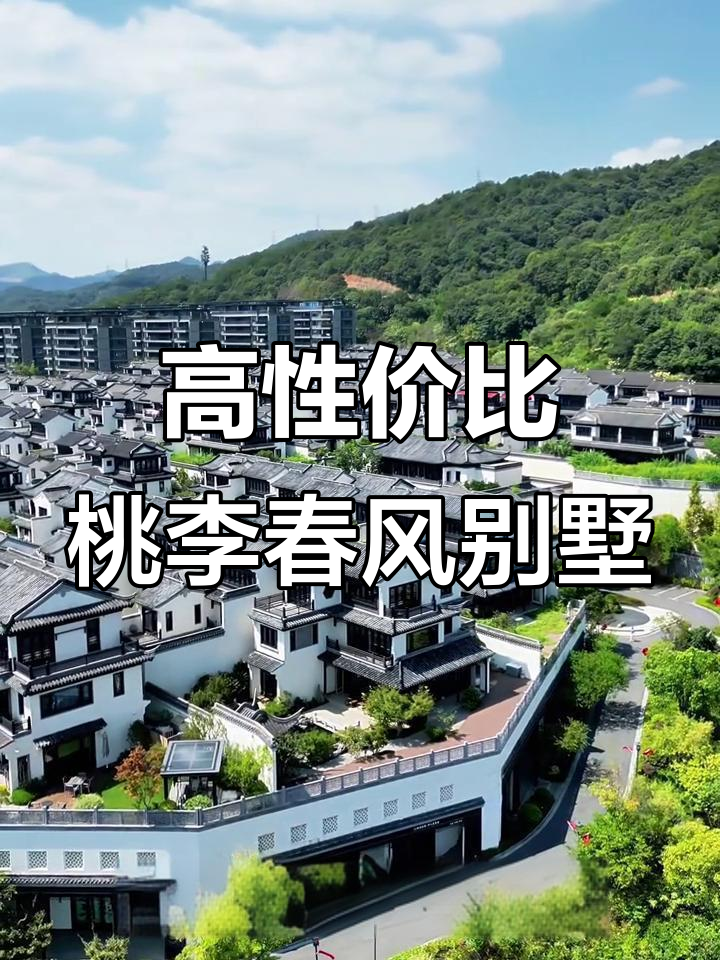 杭州桃李春风合院别墅,精装软装全配,仅需350万