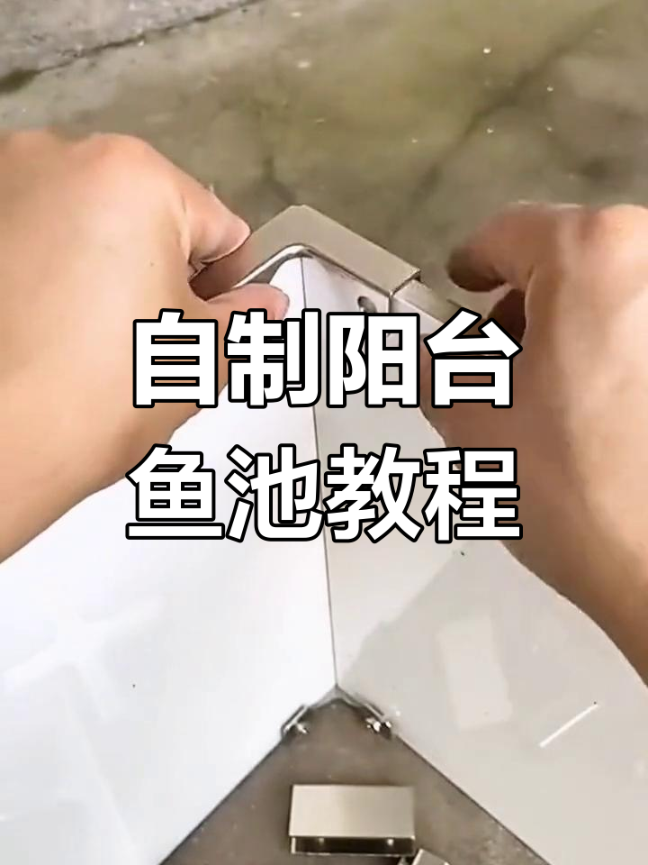 用不锈钢卡扣打造阳台鱼池,简单又实用