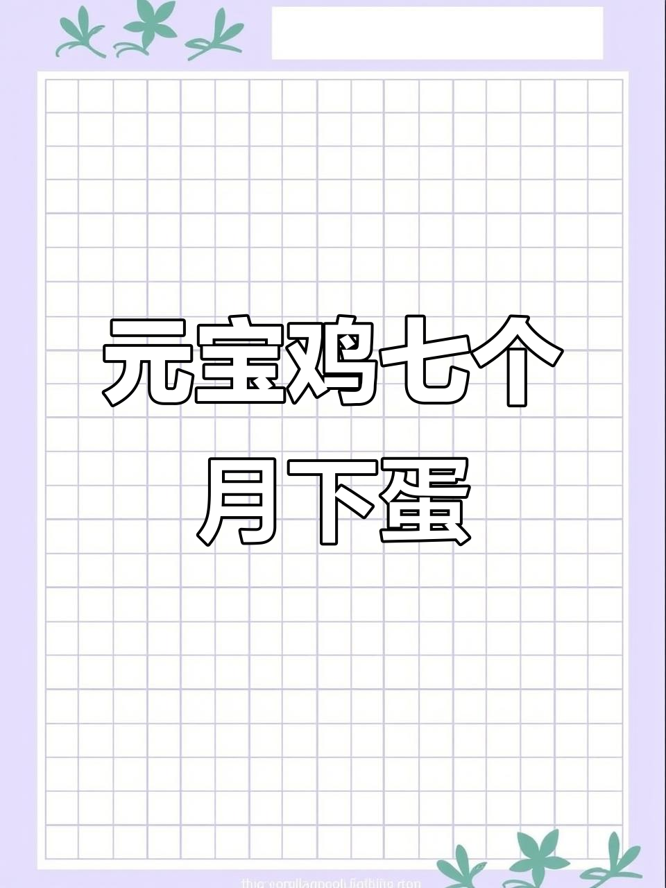 七个月大的元宝鸡开始下蛋,生态散养的小鸡真可爱