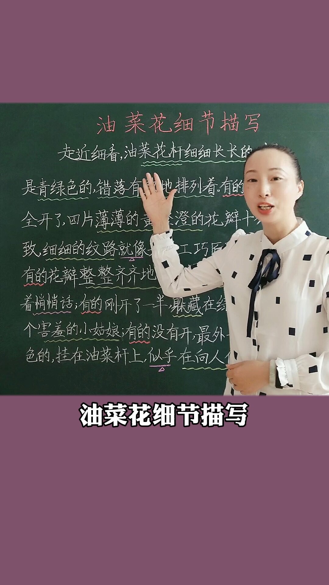 学会油菜花细节描写作文得高分