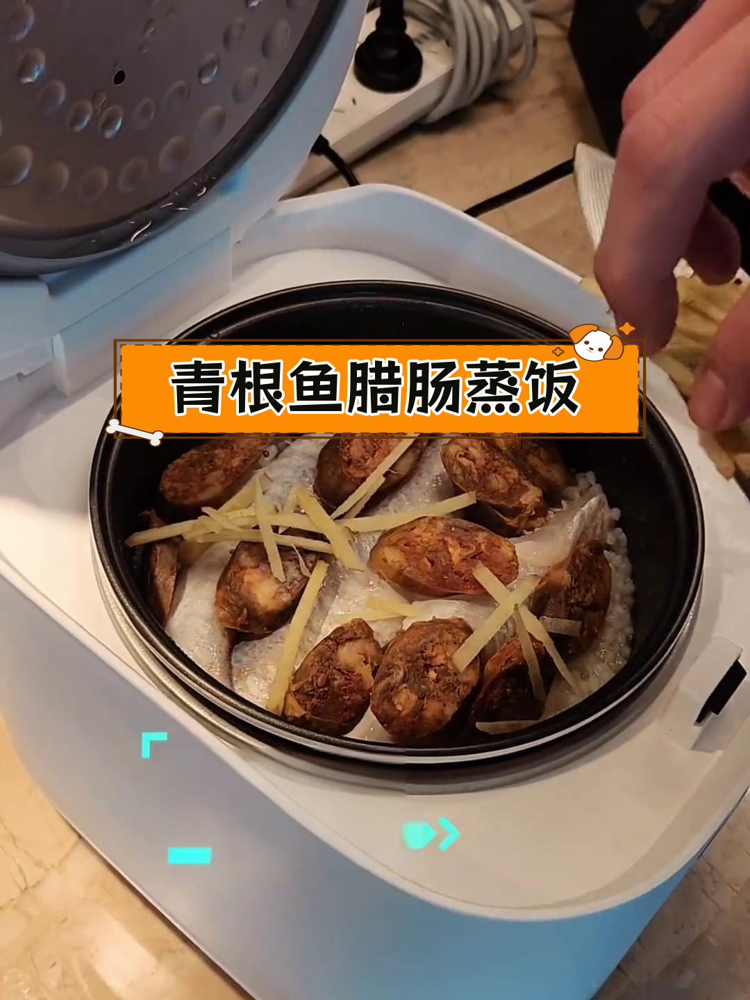 青根鱼腊肠蒸饭,波记厨房的今日美味