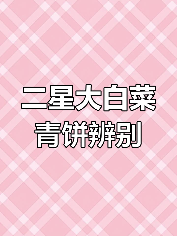 2003年二星大白菜青饼鉴别:口感与包装全解析