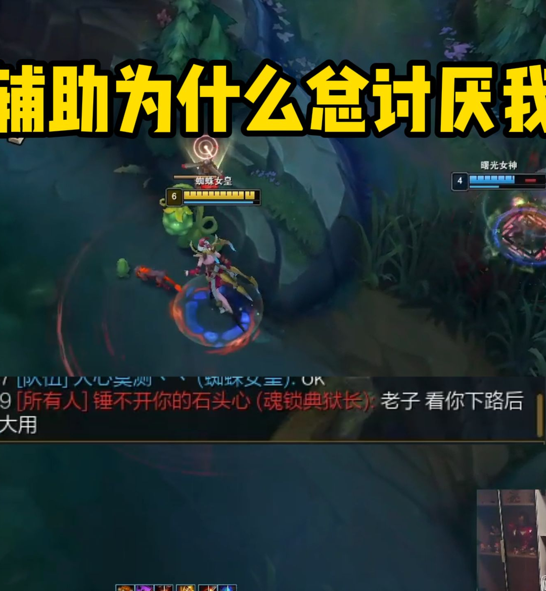 「蜘蛛馍」我能看出来辅助讨厌我，但adc他爱我！
