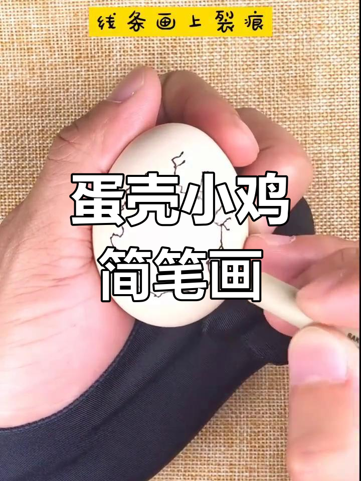 用鸡蛋画刚出生的小鸡,简单又有趣!