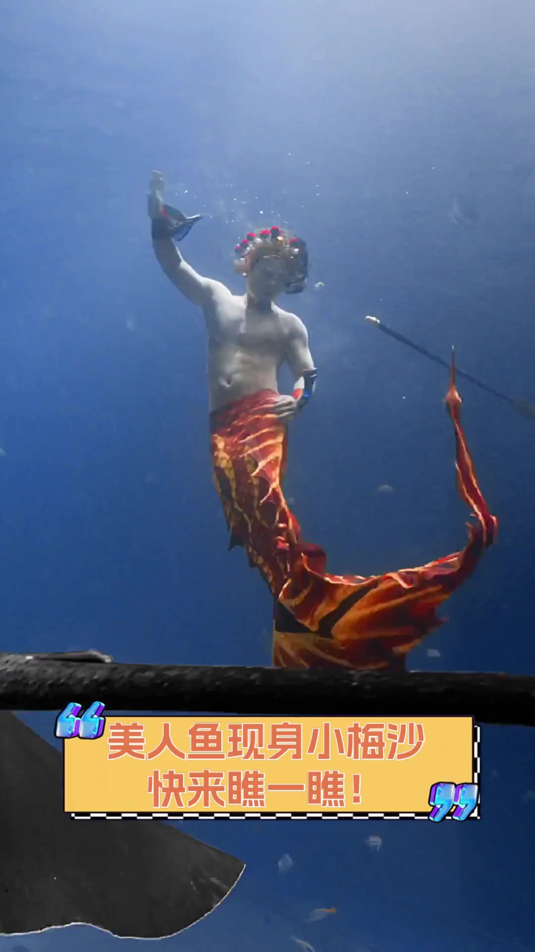 美人鱼现身小梅沙,快来瞧一瞧!