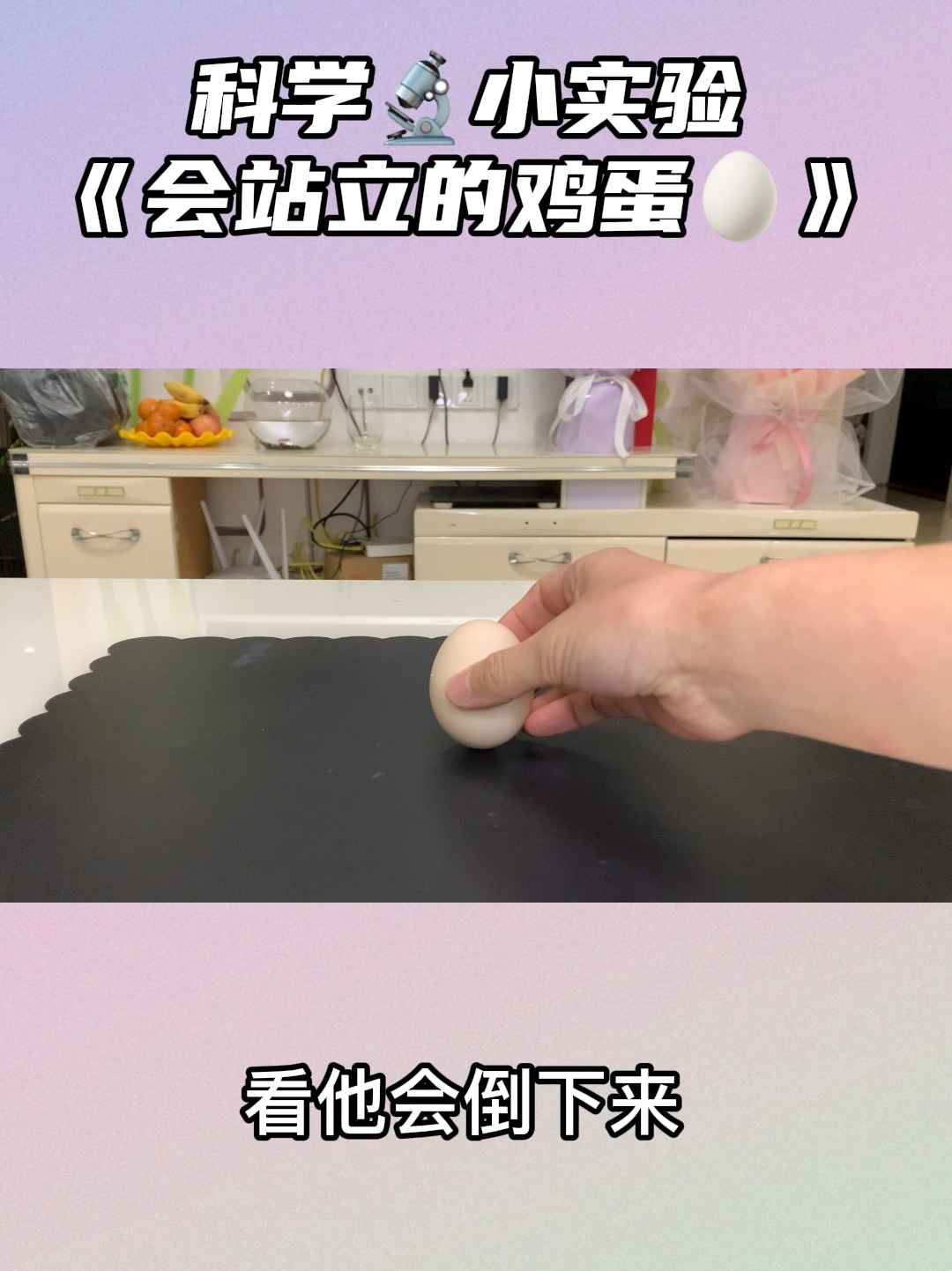 科学小实验《会站立的鸡蛋》在家就能做的实验