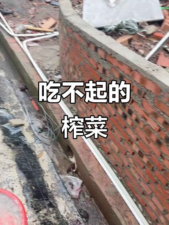 台湾名嘴调侃:吃不起榨菜?这到底是什么神奇美食