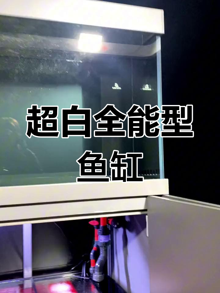 2米长超白鱼缸,折叠柜门设计更方便清洁