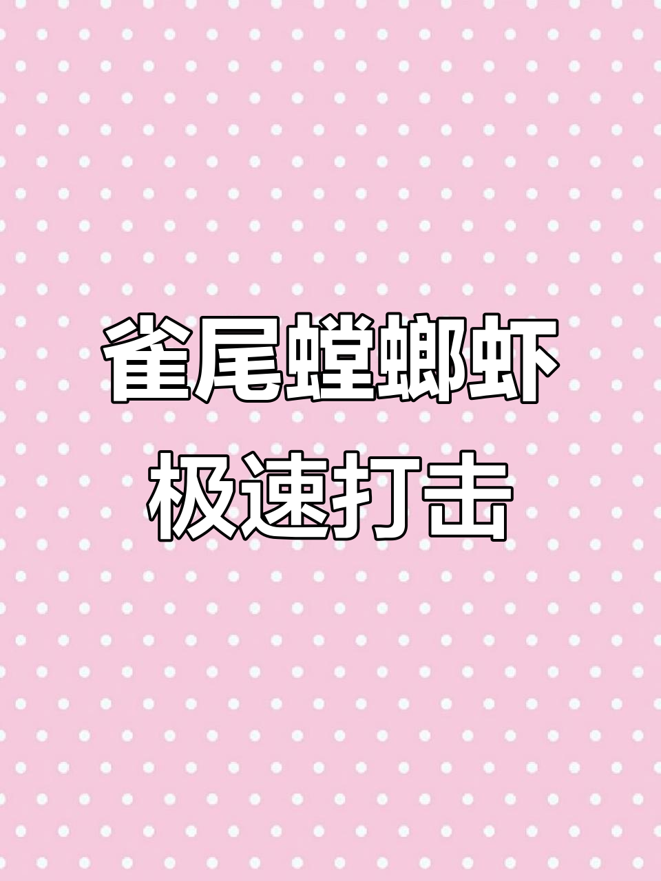 海洋间谍大揭秘:雀尾螳螂虾出击速度堪比子弹,小螃蟹瞬间被击晕