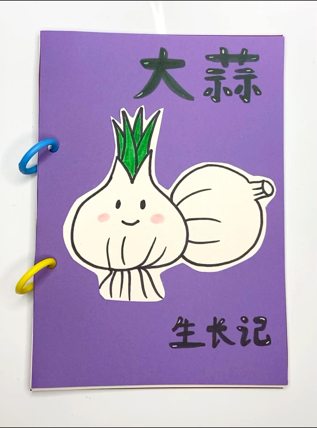 大蒜生长记