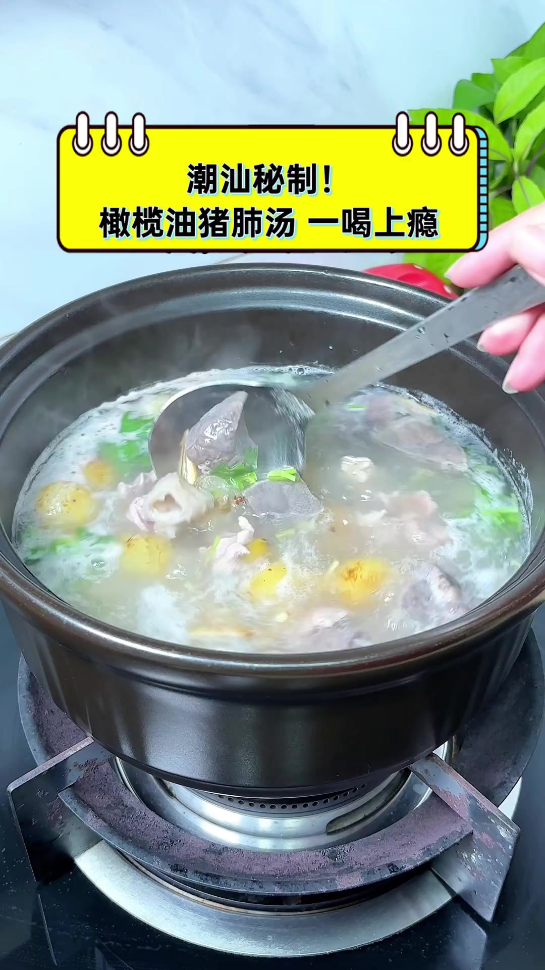 潮汕秘制!橄榄油猪肺汤,一喝上瘾