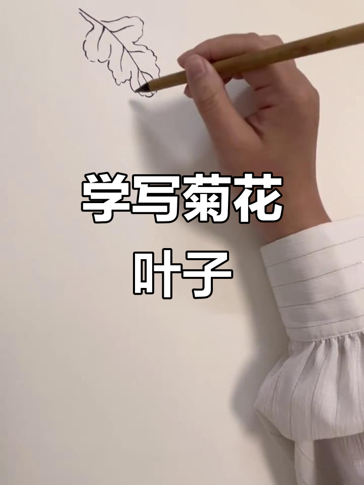写意菊花叶子画法:从叶脉到造型全解析