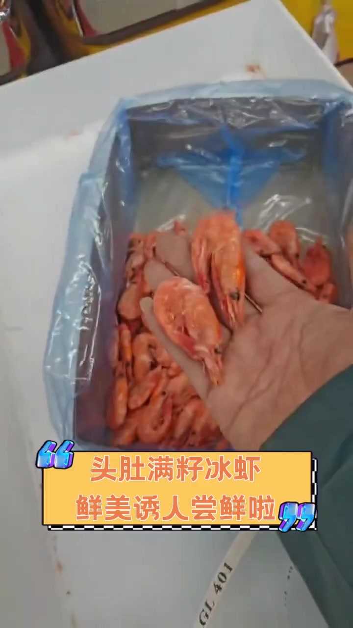 头肚满籽冰虾,鲜美诱人尝鲜啦