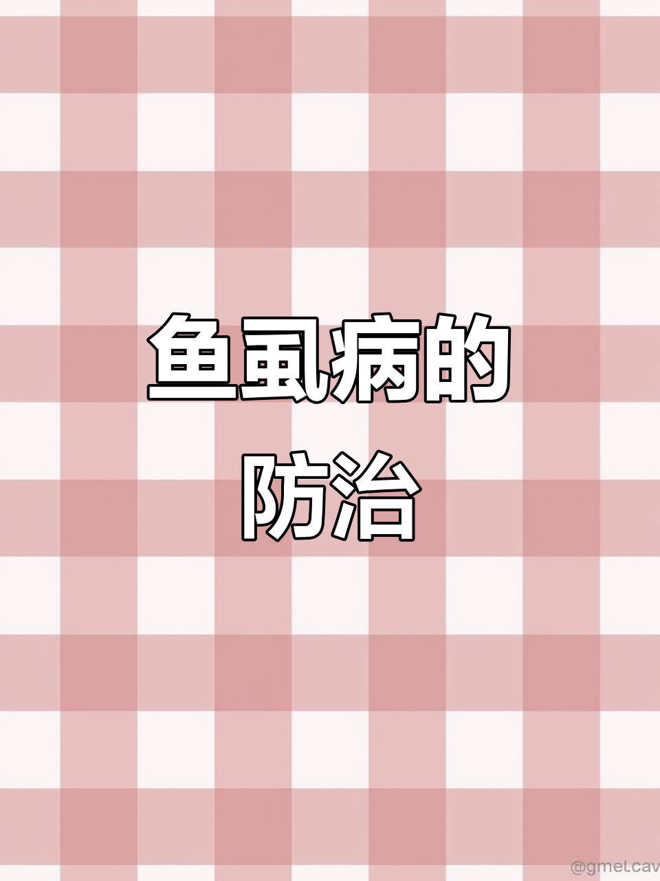 鱼虱病症状与防治方法全解析