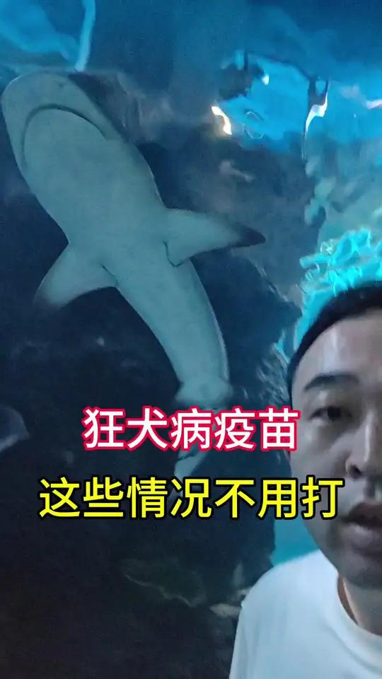 狂犬病疫苗,这些情况不用打