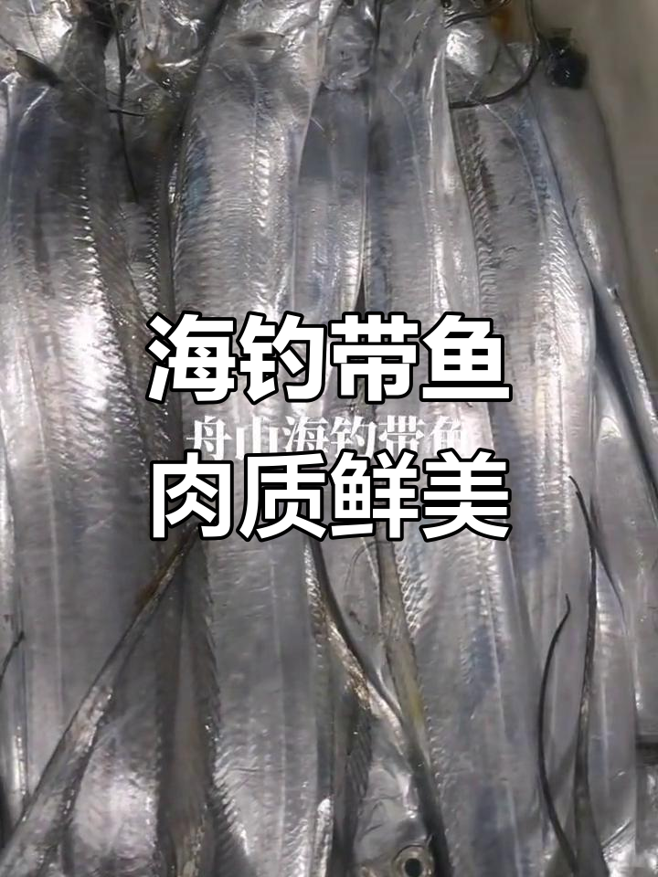 新鲜舟山海钓带鱼,肉质鲜嫩入口即化