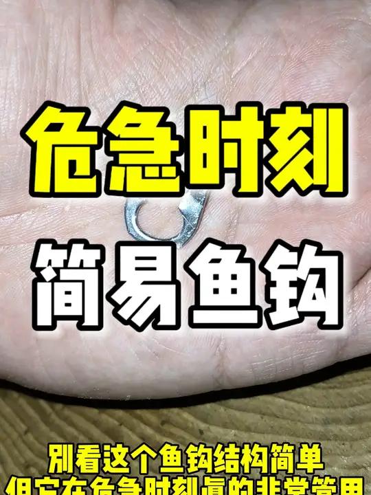 野外生存简易鱼钩