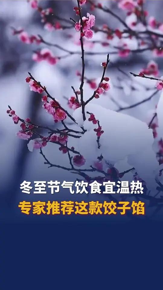 冬至 节气饮食宜温热 专家推荐这款饺子馅
